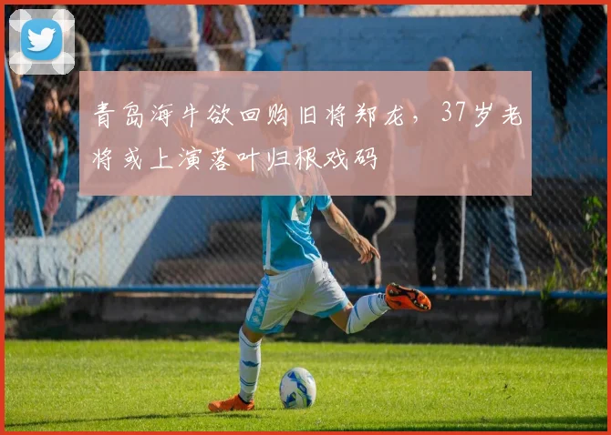 青岛海牛欲回购旧将郑龙,37岁老将或上演落叶归根戏码